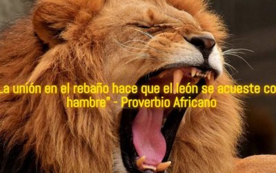 Dicen los que Saben que en la Unión Está la Fuerza. ¿Hablan en Serio?
