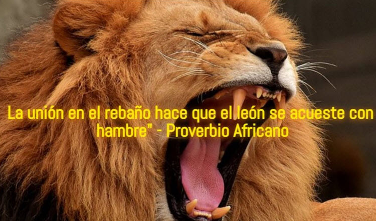 Dicen los que Saben que en la Unión Está la Fuerza. ¿Hablan en Serio?